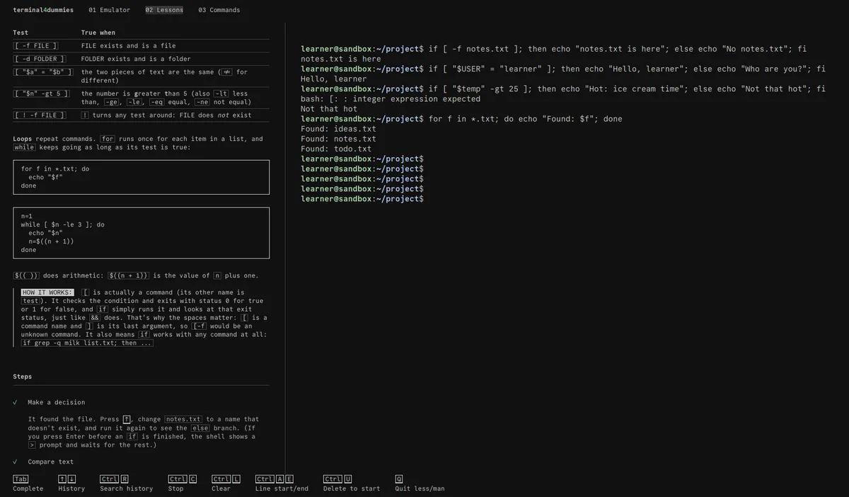 A terminal4dummies lesson on tests and loops beside a live terminal running if and for commands